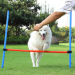agility1