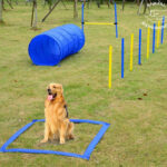 agility3